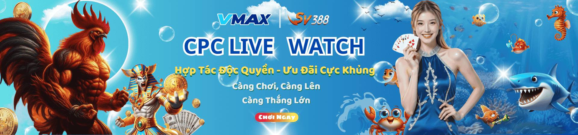 Banner Vmax